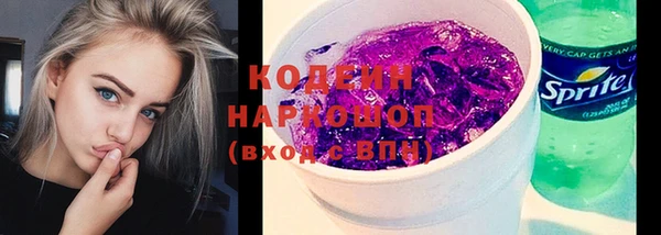 прущий лед Бородино