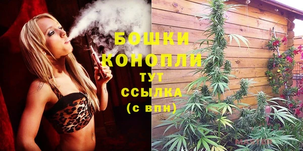 ПСИЛОЦИБИНОВЫЕ ГРИБЫ Бронницы