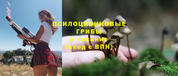прущий лед Бородино