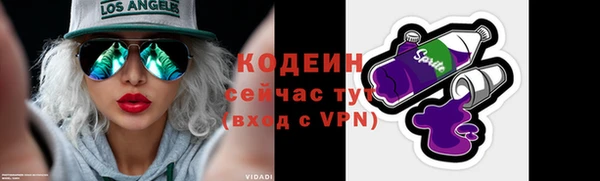 прущий лед Бородино