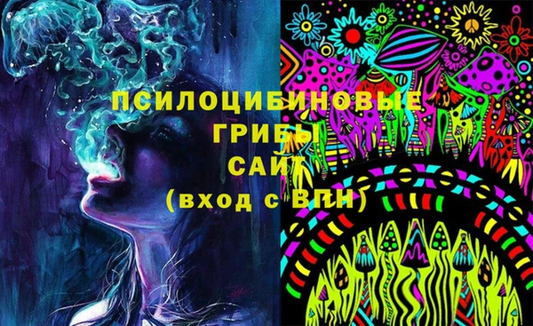 прущий лед Бородино
