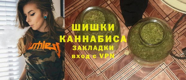 прущий лед Бородино