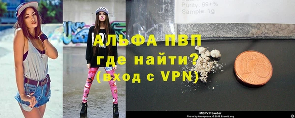 прущий лед Бородино