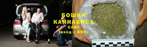 прущий лед Бородино