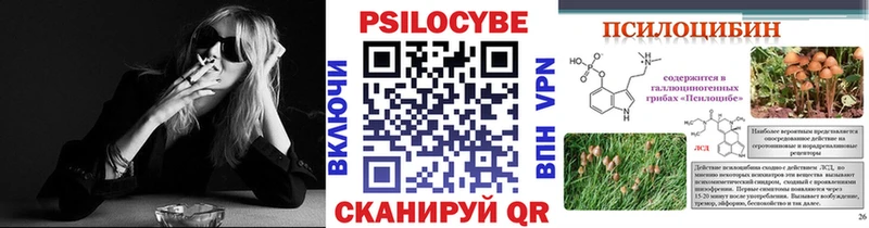 KRAKEN ссылки  цены   Санкт-Петербург  Псилоцибиновые грибы Psilocybine cubensis 